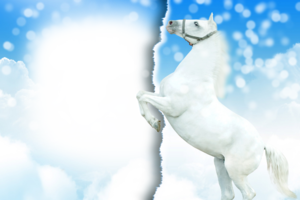 Фотоэффект с белой лошадью