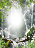 Фотоэффект с водопадом и павлинами