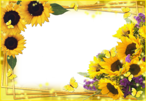Фото рамка с цветами солнца