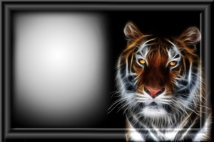 Фотоэффект онлайн с тигром