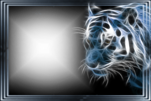 Фотоэффект с неоновым тигром