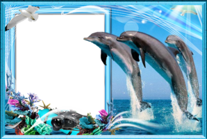 Морская рамка с тремя дельфинами