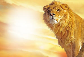 Фотоэффект на закате со львом