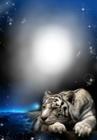 Фотоэффект с белым тигром