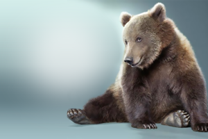 Фотоэффект для фото с медведем