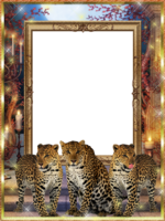 Три леопарда рамка для фото