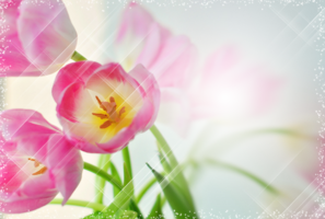 Фотоэффект онлайн с тюльпанами