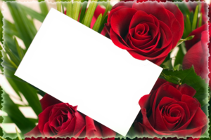 Фото рамка среди красных роз