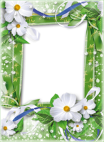 Фото рамка с цветами лета