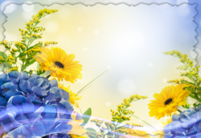 Фотоэффект онлайн с цветами