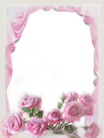 Женская рамка с розовыми розами