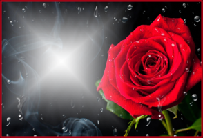 Фотоэффект с красной розой