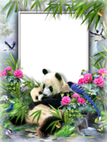 Рамка для фото с пандами