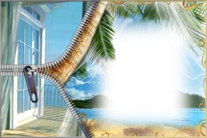 Фотоэффект морской у пальмы