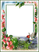 Цветочная рамка с птичкой колибри