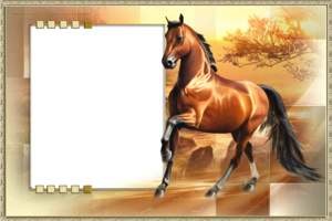 Рамка для фото с лошадью