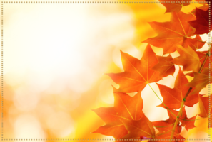 Фотоэффект с золотой осенью