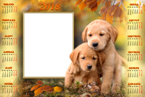 Календарь с собачками
