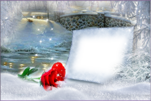 Зимняя рамка онлайн с розой в снегу