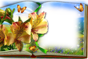Рамка для фото с книгой и лилиями