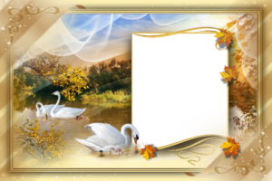 Осенняя рамка с лебедями