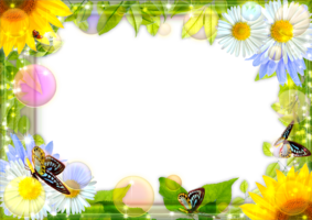 Рамка онлайн с летними цветами