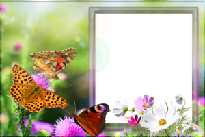 Летняя фото рамка с бабочками