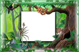 Детская рамка с джунглями