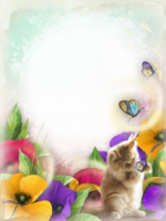 Фотоэффект цветочный с котенком
