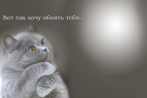 Фотоэффект онлайн с котиком