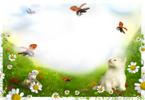 Фотоэффект на лужайке с котенком