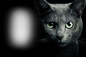 Фотоэффект с черным котом